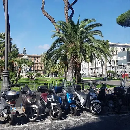 Nice In The Center Of *
