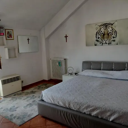 Nice In The Center Of Apartment *