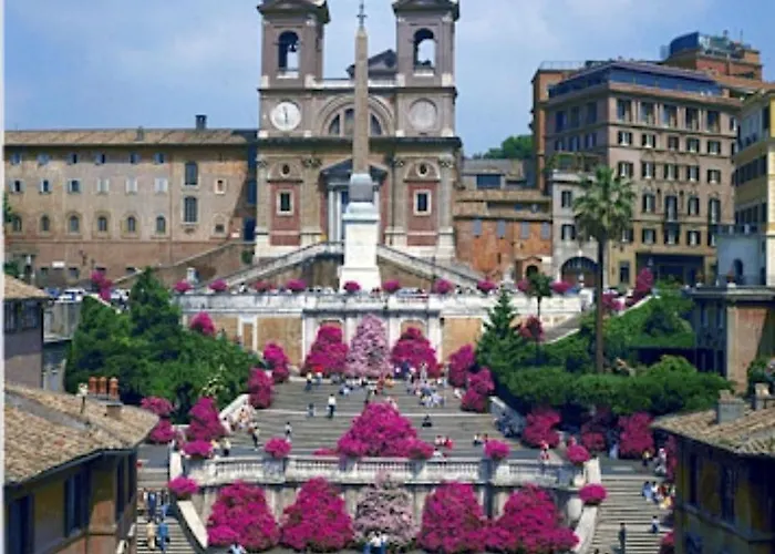 Nice In The Center Of Daire