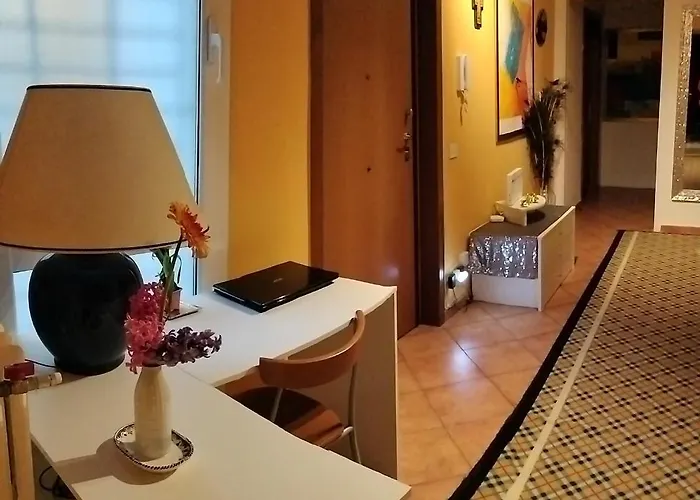 Nice In The Center Of Daire