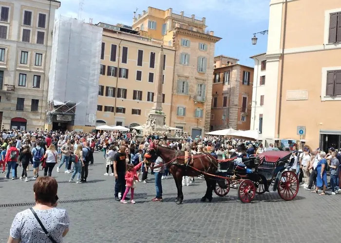 Nice In The Center Of Daire